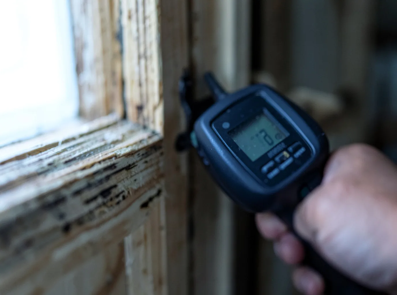 Ceiling Water Damage Repair in Eldridge, IA